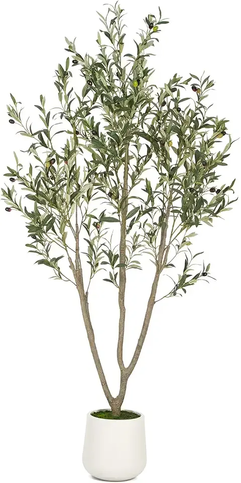 VIVATREES Olive Trees Artificial Indoor, 6FT Tall Faux Olive Tree with White Tall Planter, Artificial Plants with Natural Wood Trunk and Lifelike Fruits for Home Office Decor