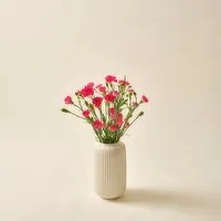 SuperValu Carnation Bouquet Of The Week (1 Piece) Open Product Description