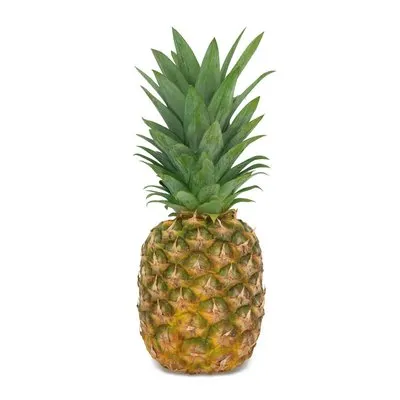 Clever Ananas