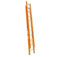 Escalera 20 P de Extensión Fibra de Vidrio Tipo II 175 kg Truper