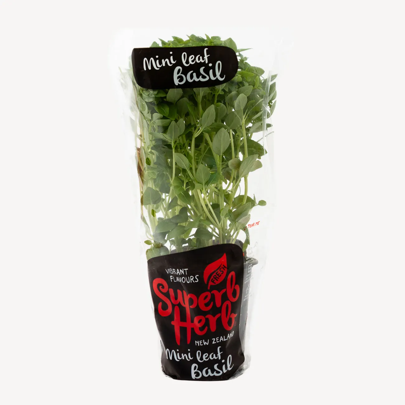 superb herb basil mini leaf small pot plant
