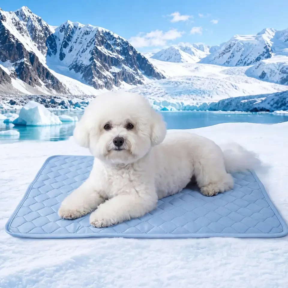 PatiencET Dog Cooling Mat, 22 x 28 in No-Gel Cooling Pad for Small Dogs, Puppies and Cats, Cool Touch Nylon Pet Mat, Washable Summer Dog Mat for Crate, Floor, Sofa, Car, Blue