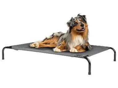 Cama elevada para mascotas