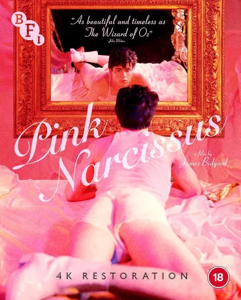 Pink Narcissus (1971)