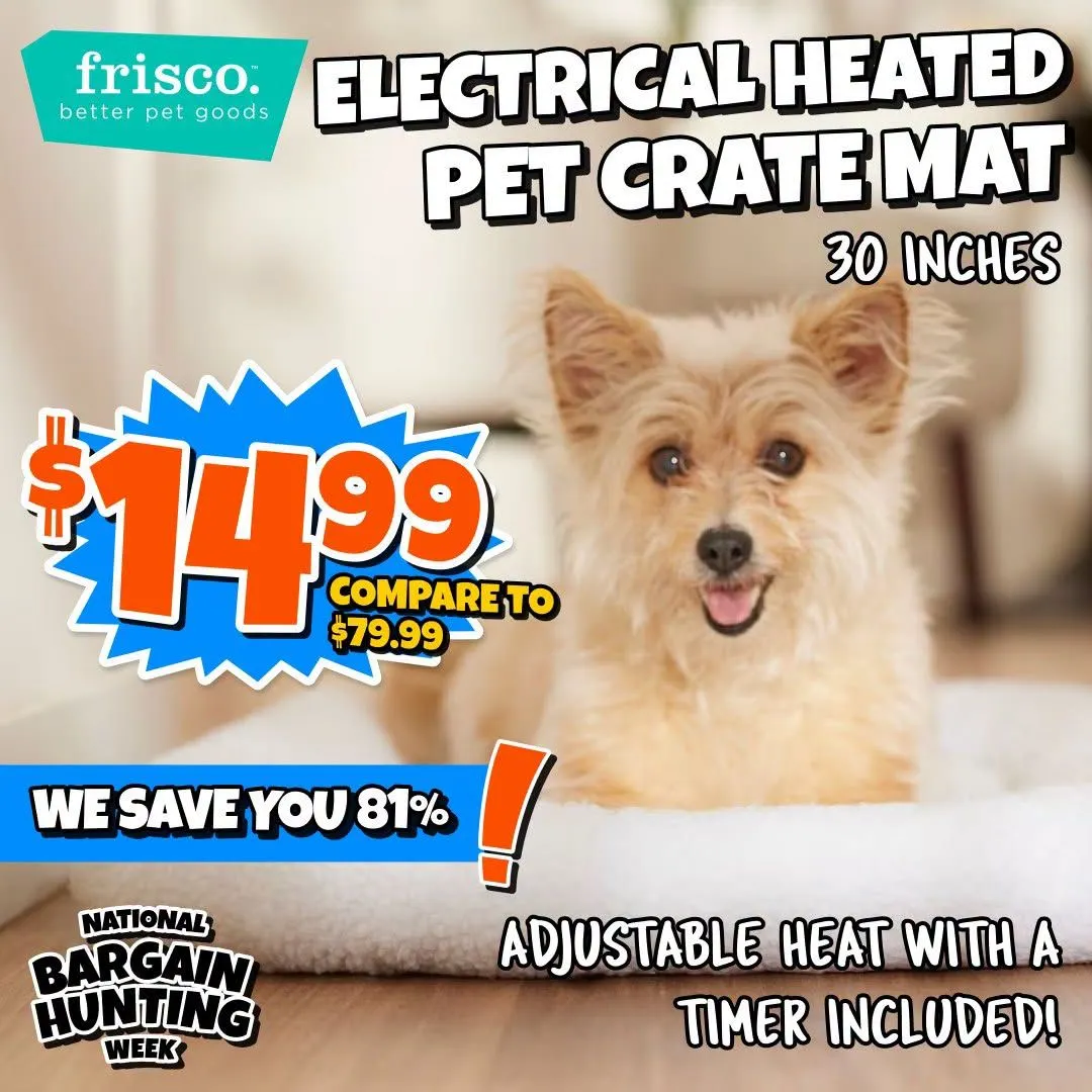 Weekly ad Big Lots — 2026-08-14 from August 14 to August 19 2026 - Page