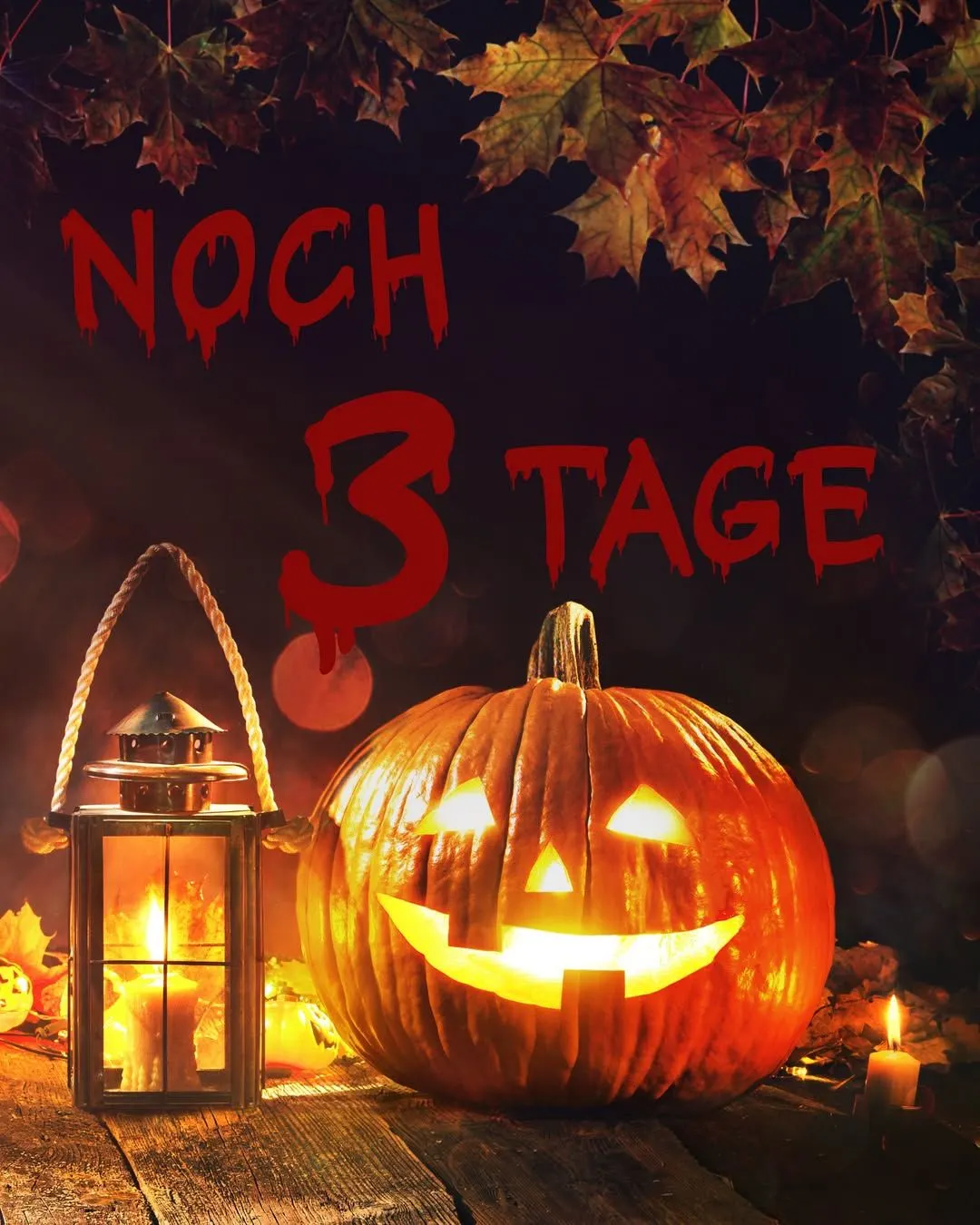 KODi — 2026-10-19 von 19. Oktober bis 31. Oktober 2026 - Prospekt seite 1