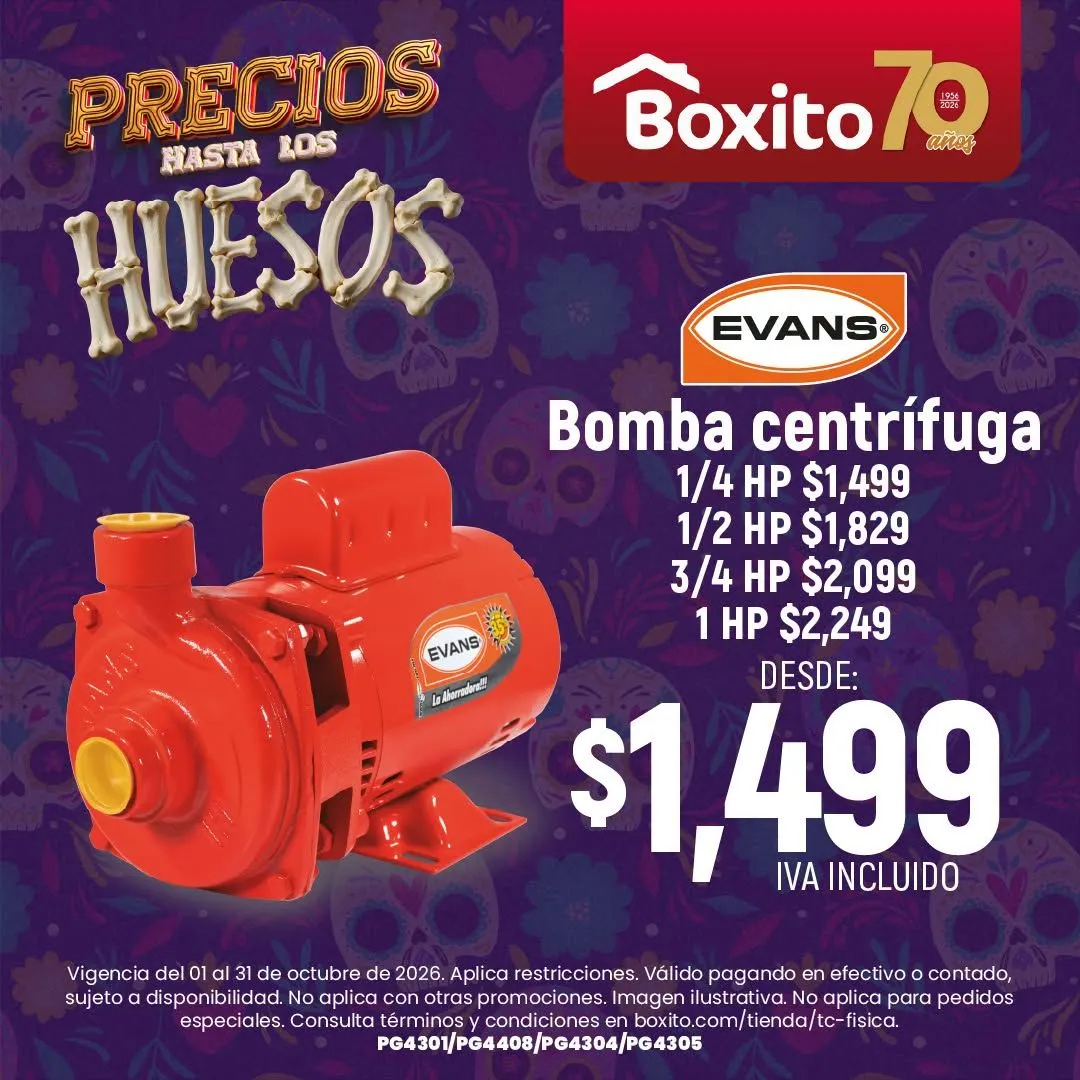 Catálogo de Boxito — 2026-10-20 20 de octubre al 31 de octubre 2026 - Pagina 2