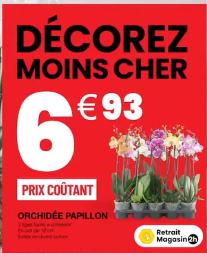 Bricorama — 2026-10-22 du 22 octobre au 6 novembre 2026 - Catalogue page 2