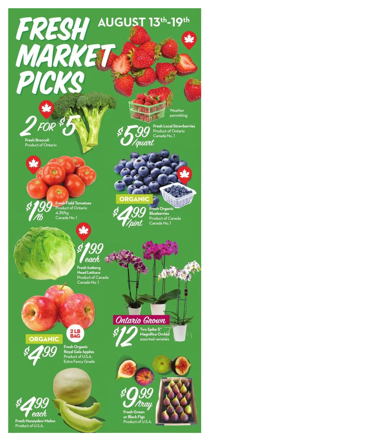 Longo's — 2026-08-13 from August 13 to August 19 2026 - flyer page 2