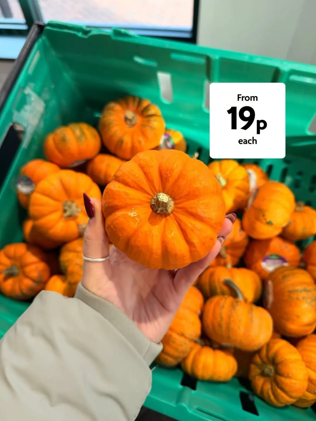 Morrisons — 2026-10-30 from 30 October to 3 November 2026 - Catalogue Page 2