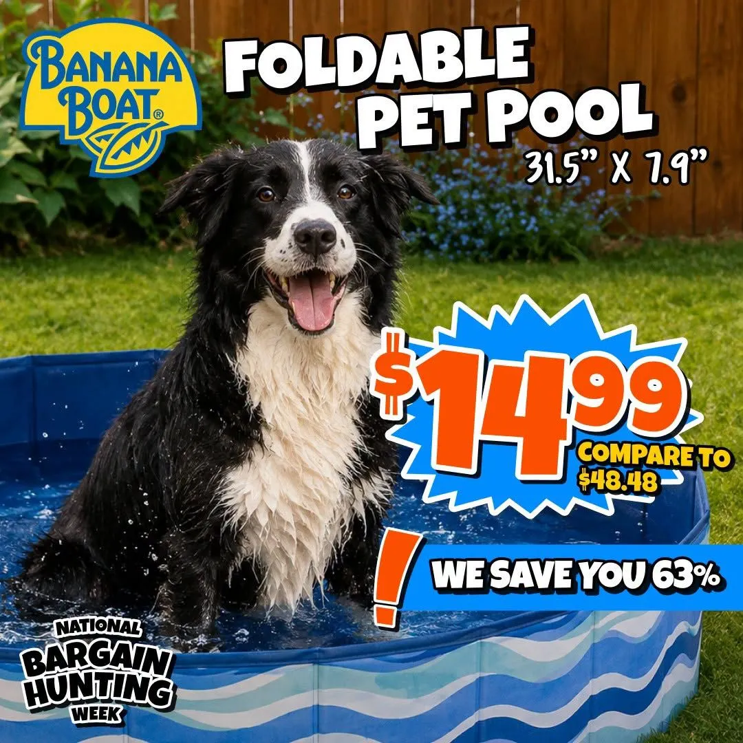 Weekly ad Big Lots — 2026-08-14 from August 14 to August 19 2026 - Page 2