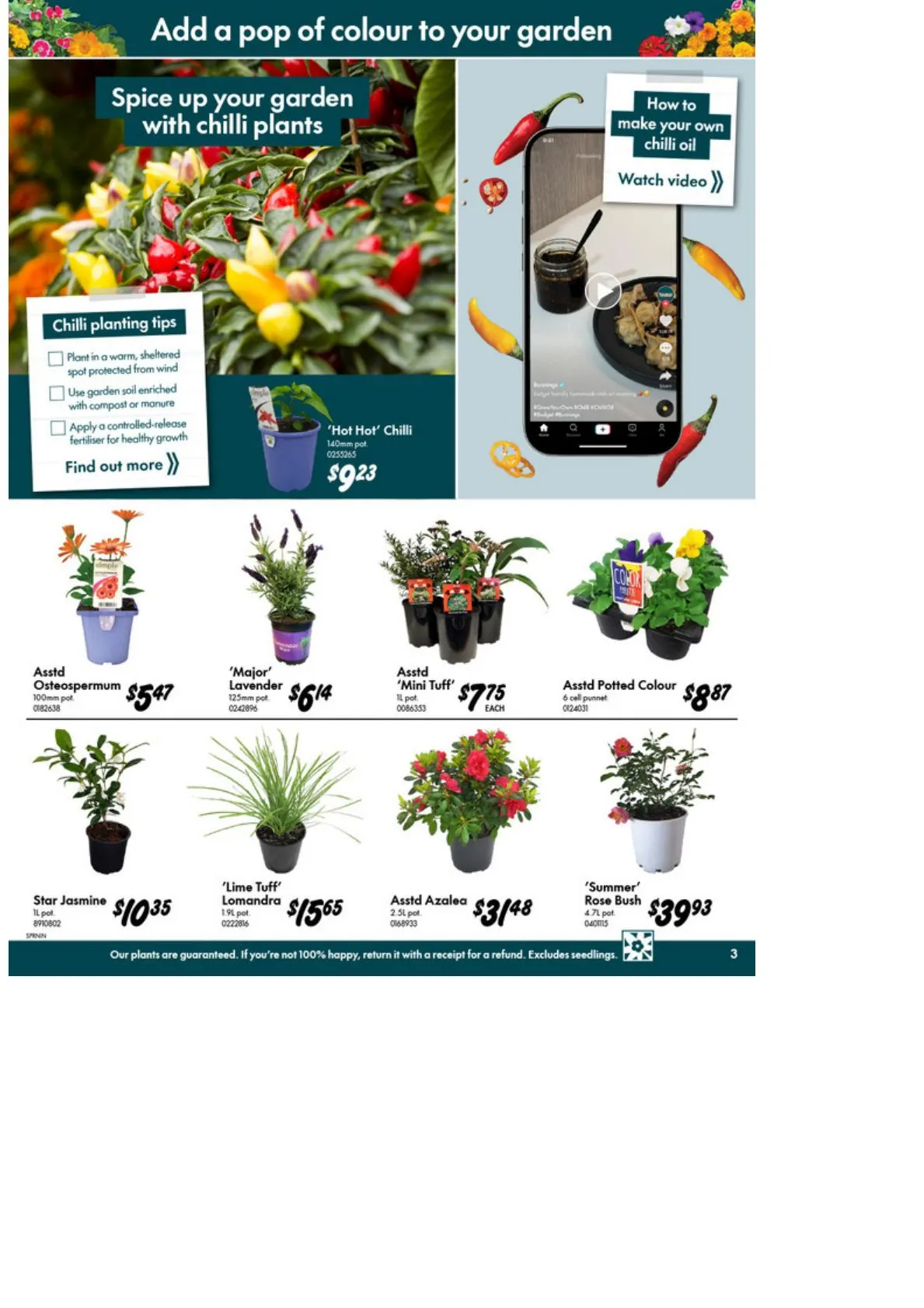 Bunnings — 2026-10-15 from 15 October to 26 October 2026 - Catalogue Page 3