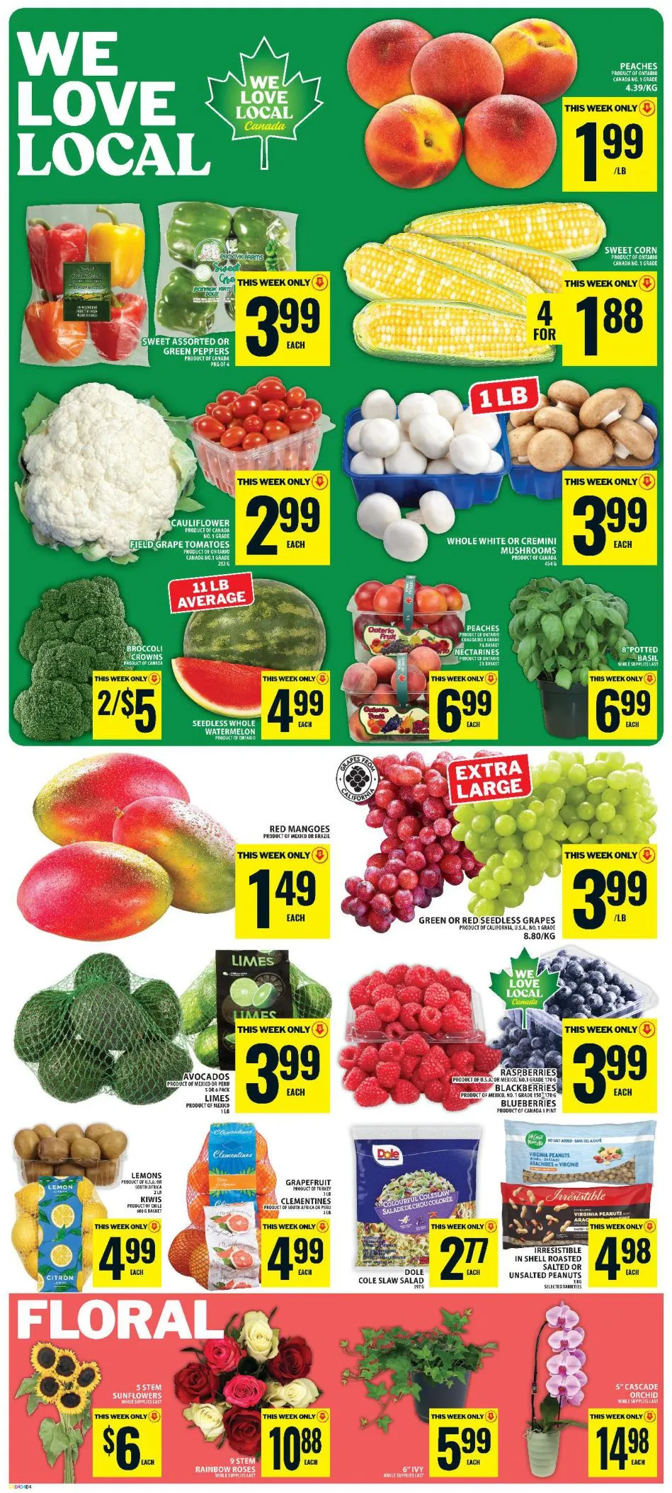 Food Basics — 2026-08-13 from August 13 to August 19 2026 - flyer page 3