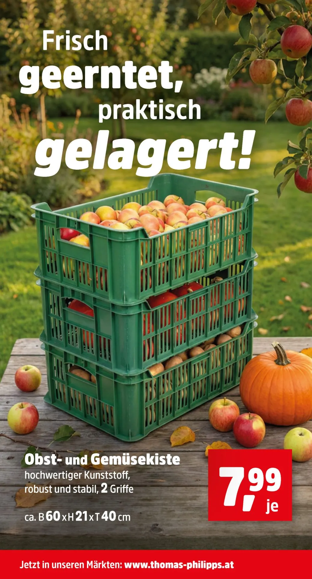 Thomas Philipps — 2026-10-15 von 19. Oktober bis 24. Oktober 2026 - Flugblätt seite 3