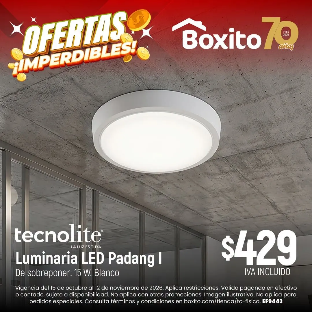 Catálogo de Boxito — 2026-10-20 20 de octubre al 12 de noviembre 2026 - Pagina 4