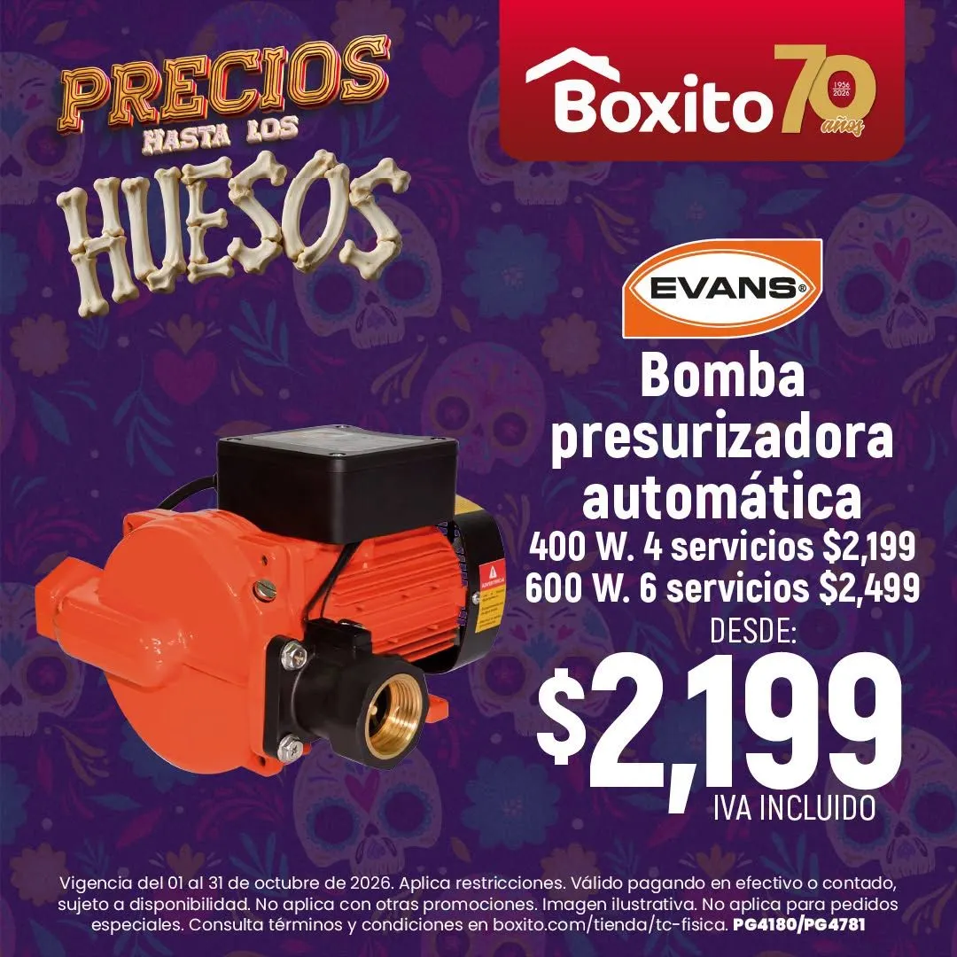 Catálogo de Boxito — 2026-10-20 20 de octubre al 31 de octubre 2026 - Pagina 4