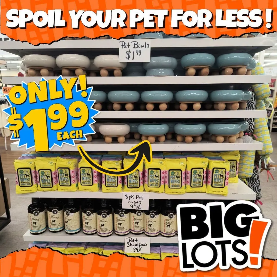 Weekly ad Big Lots — 2026-08-05 from August 5 to August 20 2026 - Page 2