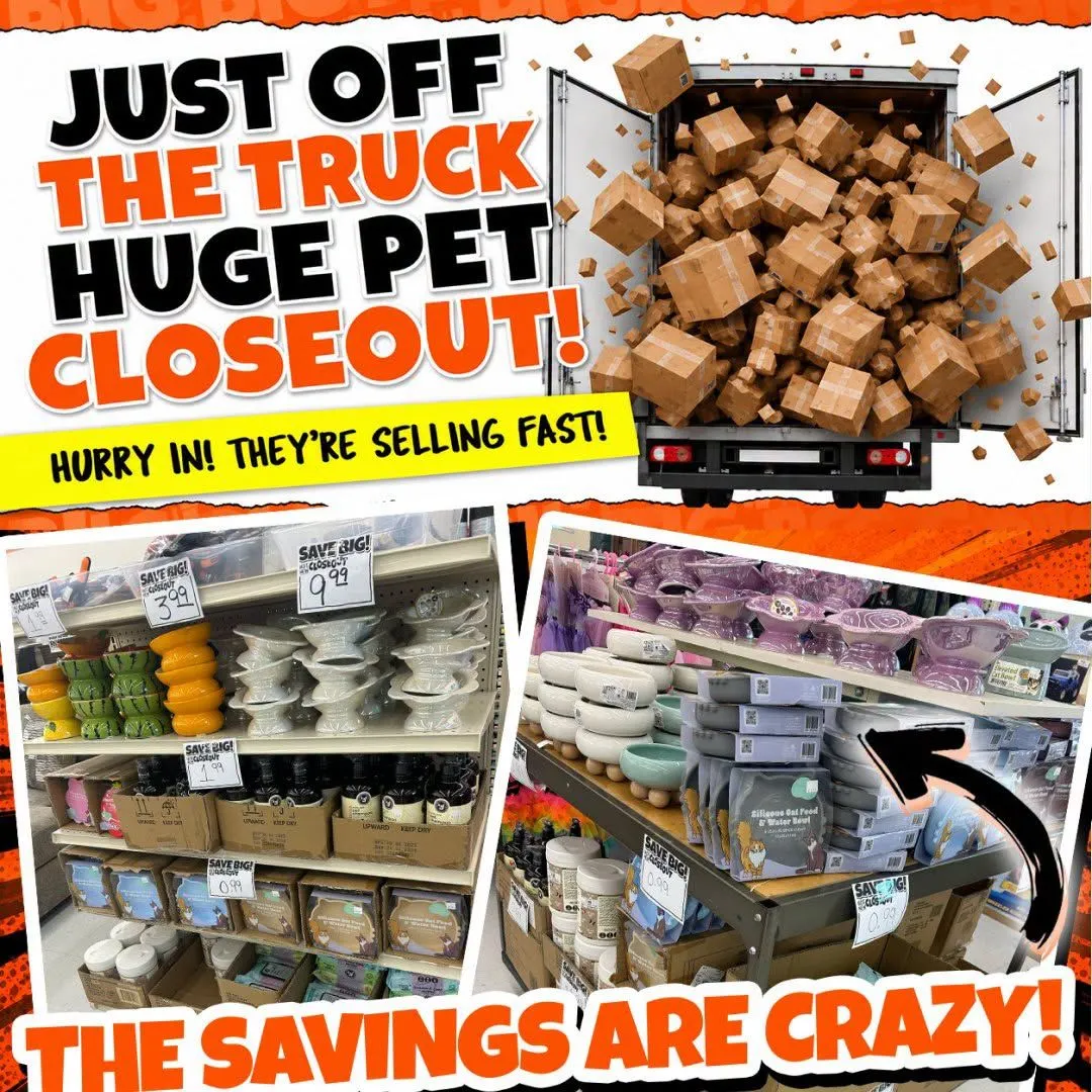 Weekly ad Big Lots — 2026-08-05 from August 5 to August 20 2026 - Page