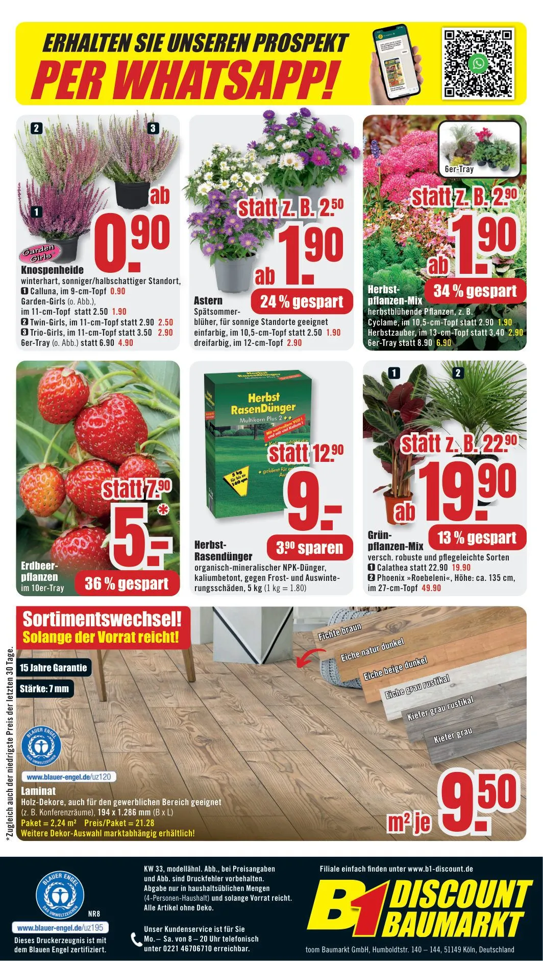 B1 Discount Baumarkt — 2026-08-11 von 8. August bis 14. August 2026 - Prospekt seite 8