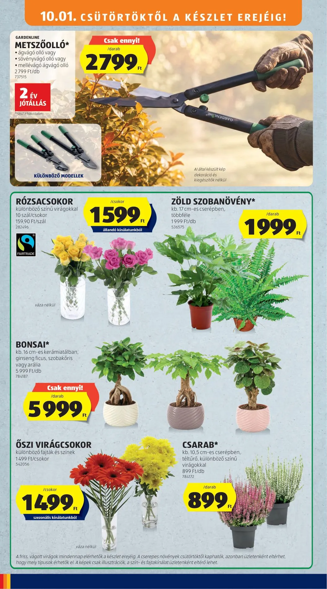 Katalógus Aldi — 2026-10-01 október 1.-tól október 7.-ig 2026. - Oldal 10