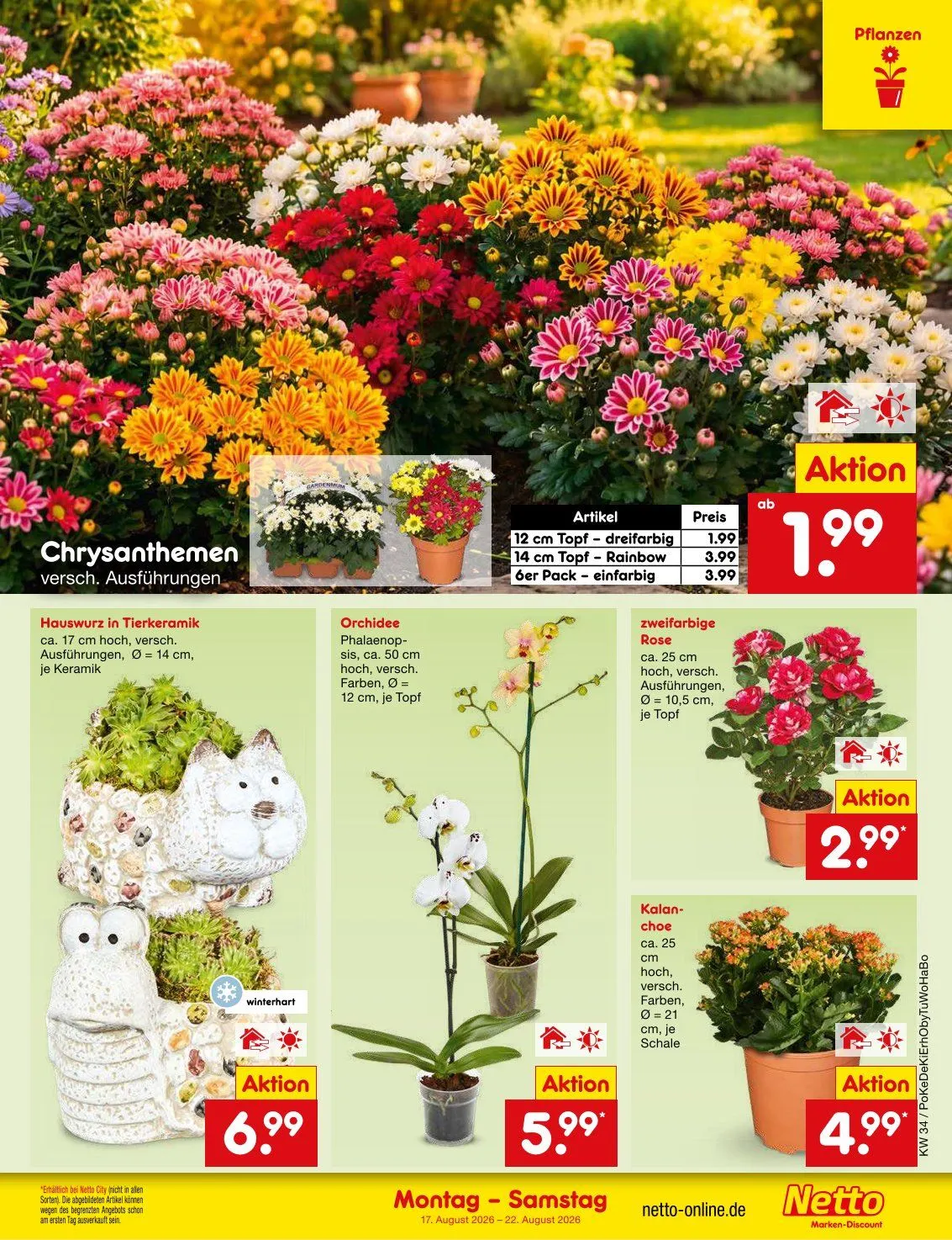 Netto Marken-Discount — 2026-08-19 van 19 augustus tot 22 augustus 2026 - Folder pagina 13