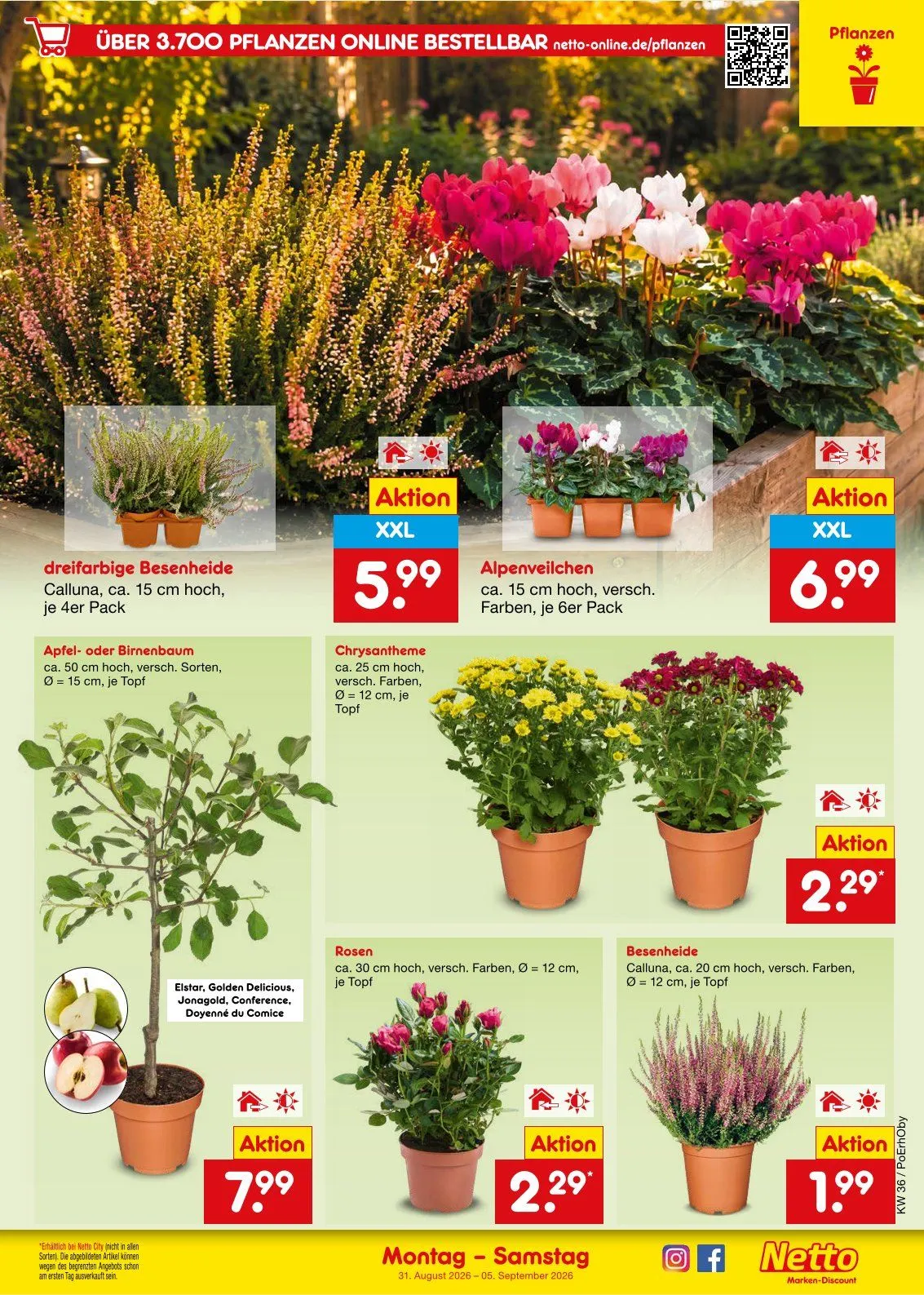 Netto Marken-Discount — 2026-08-31 van 31 augustus tot 5 september 2026 - Folder pagina 15