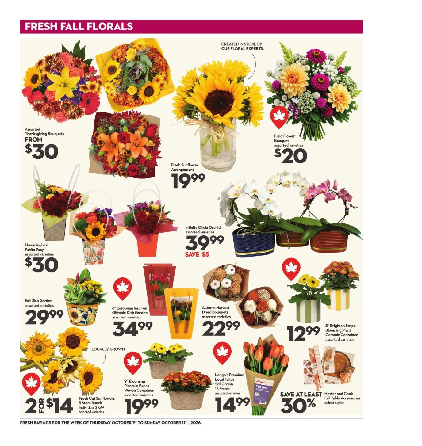Longo's — 2026-10-01 from October 1 to October 11 2026 - flyer page 17