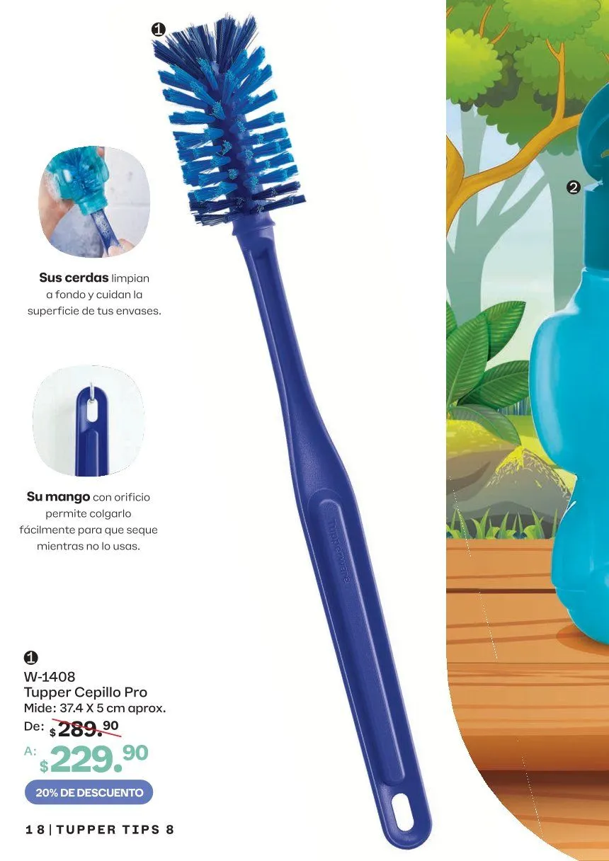 Catálogo de Tupperware — 2026-08-10 10 de agosto al 31 de agosto 2026 - Pagina 18