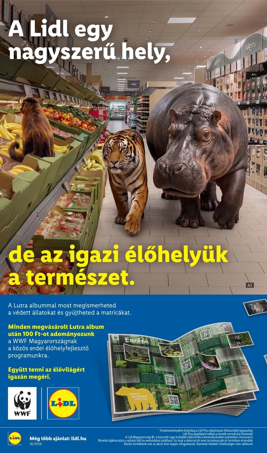 Katalógus Lidl — 2026-09-02 szeptember 2.-tól szeptember 5.-ig 2026. - Oldal 18