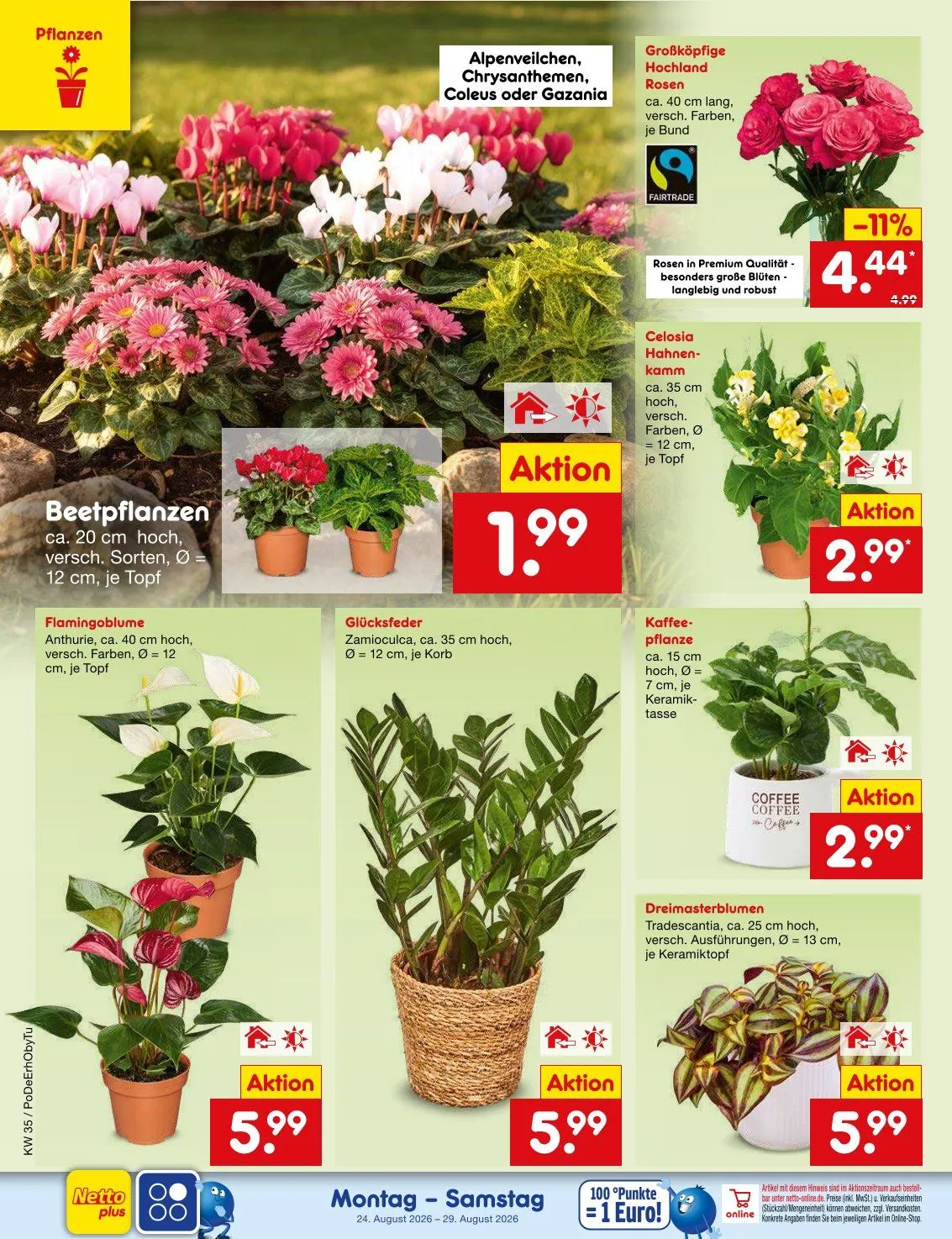 Netto Marken-Discount — 2026-08-24 van 24 augustus tot 29 augustus 2026 - Folder pagina 19