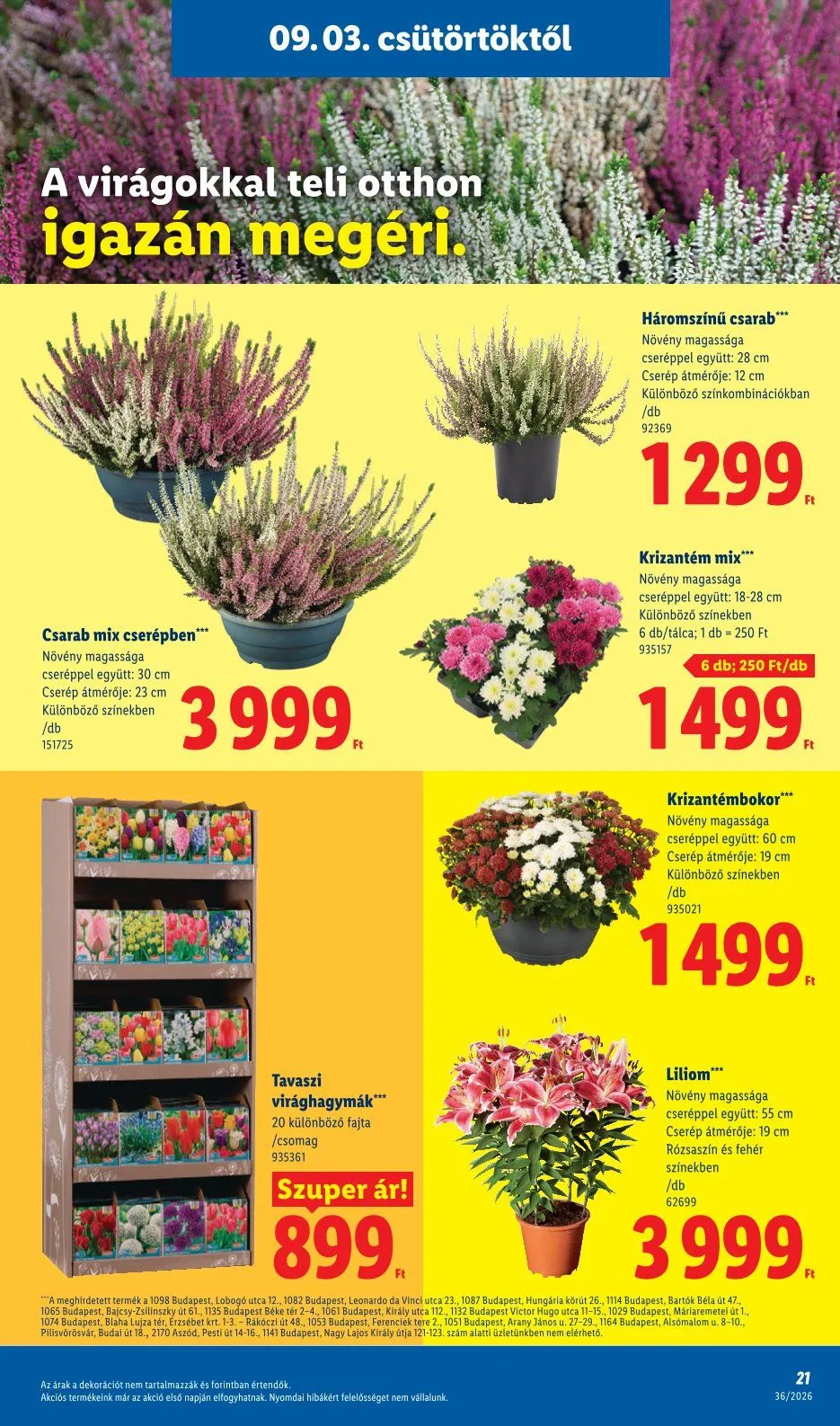 Katalógus Lidl — 2026-09-02 szeptember 2.-tól szeptember 5.-ig 2026. - Oldal 21