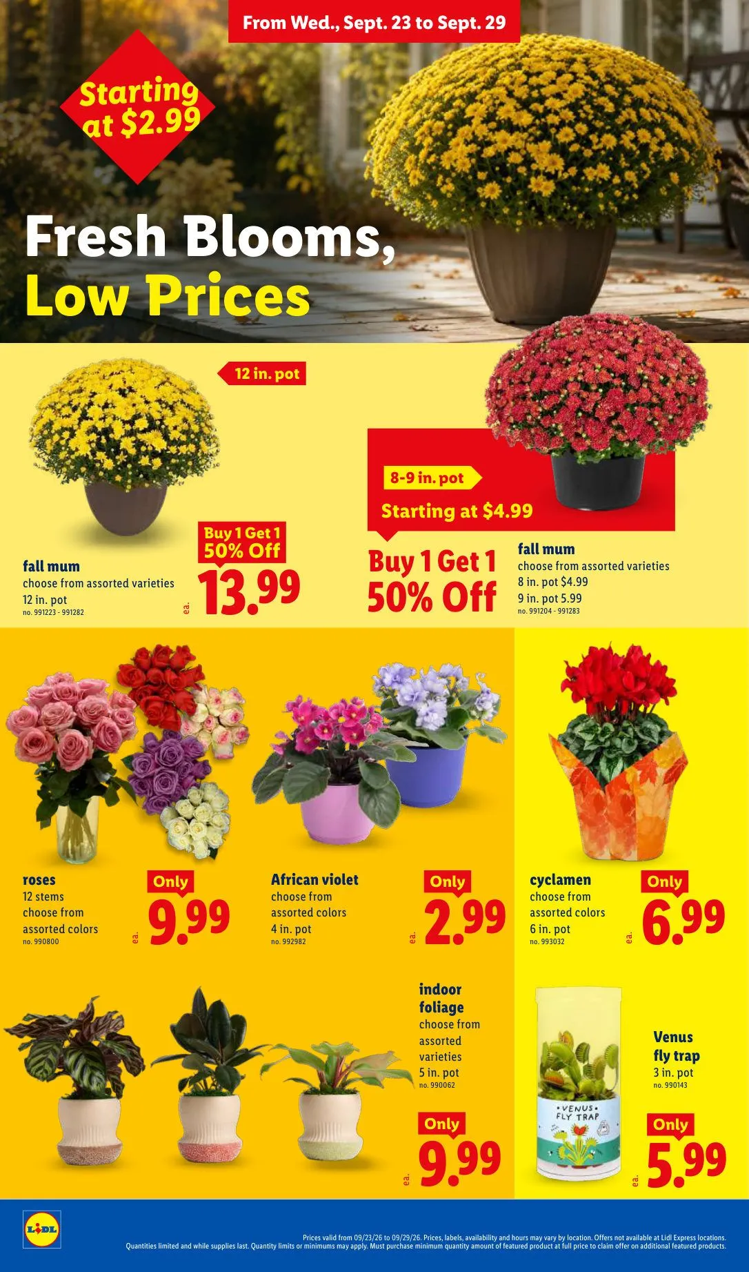 Weekly ad Lidl — 2026-09-23 from September 23 to September 29 2026 - Page 22