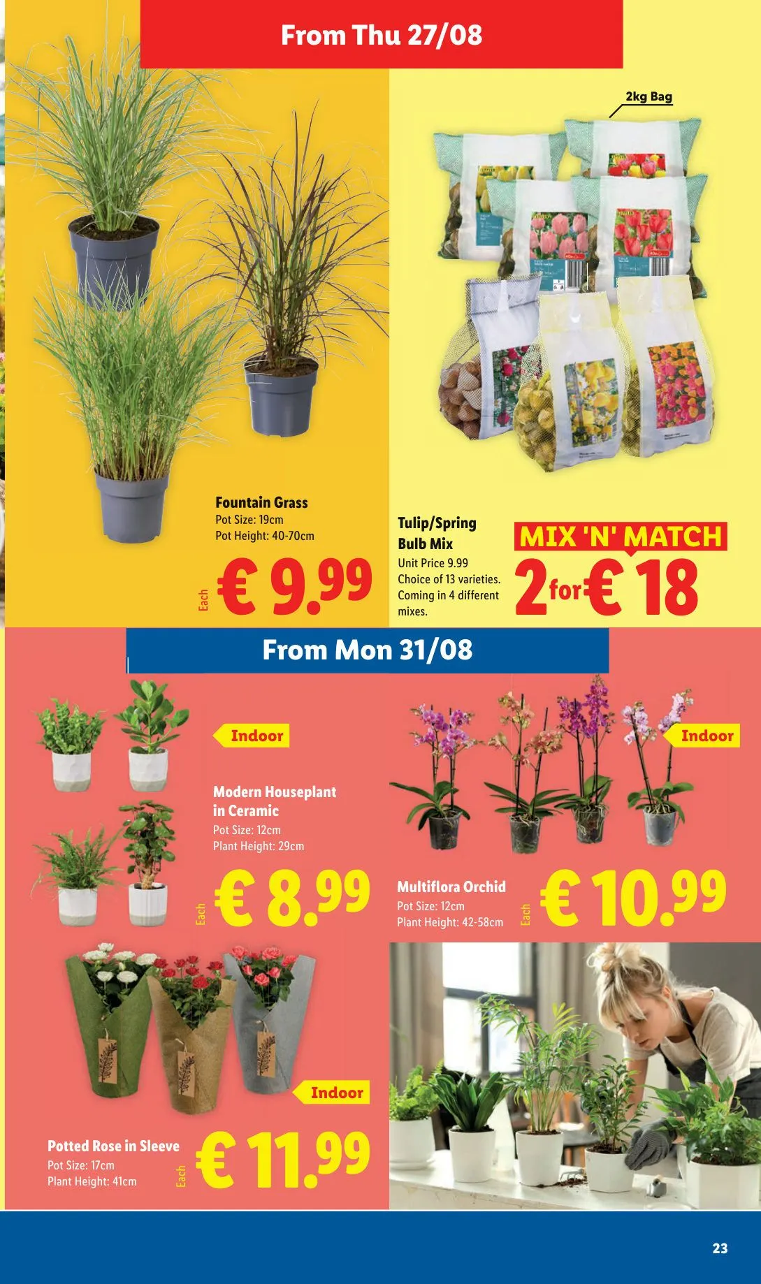 Lidl — 2026-08-20 - 27 August 2 September 2026 - Page 23