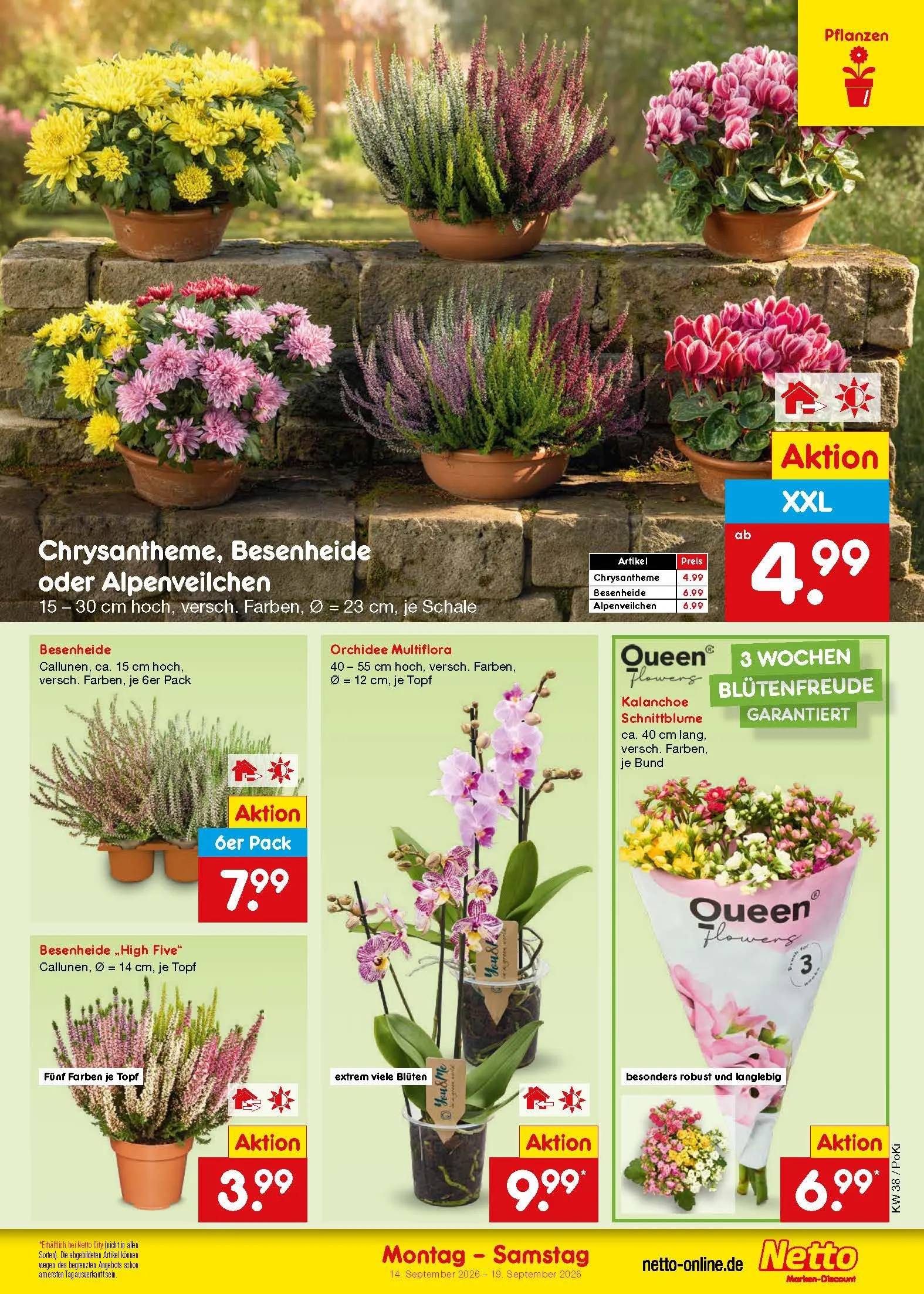Netto Marken-Discount — 2026-09-16 van 16 september tot 19 september 2026 - Folder pagina 23