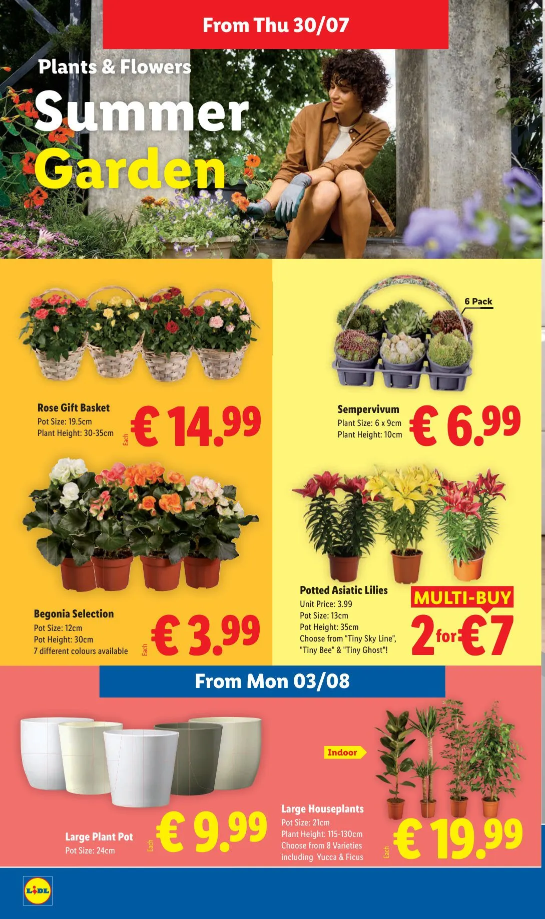 Lidl — 2026-07-27 - 30 July 5 August 2026 - Page 24