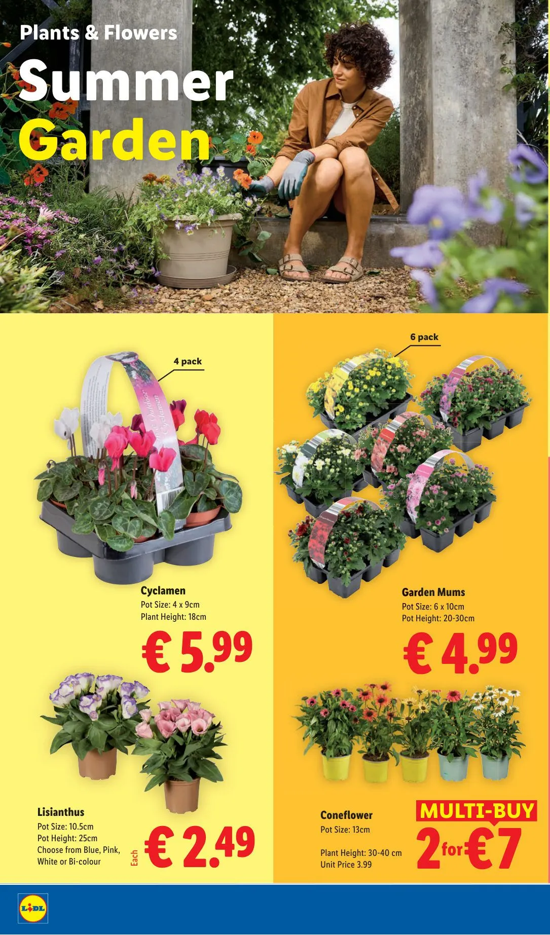 Lidl — 2026-07-31 - 6 August 12 August 2026 - Page 24