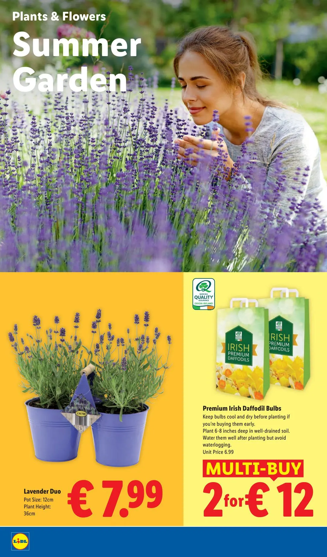 Lidl — 2026-08-10 - 13 August 19 August 2026 - Page 24