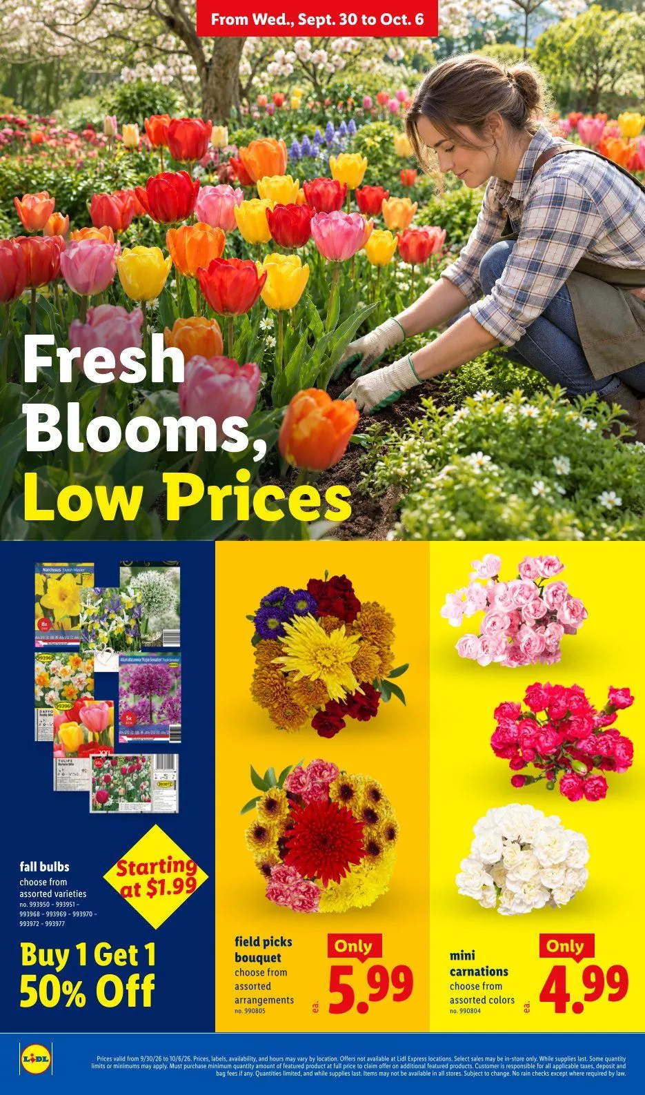 Weekly ad Lidl — 2026-09-29 from September 30 to October 6 2026 - Page 24