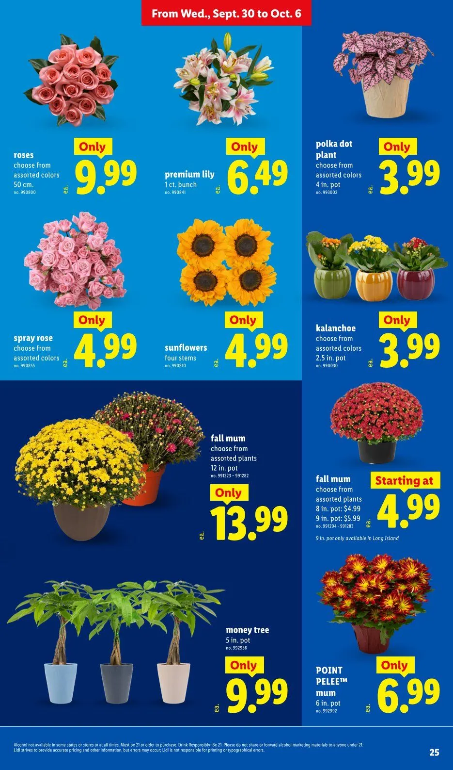 Weekly ad Lidl — 2026-09-29 from September 30 to October 6 2026 - Page 25