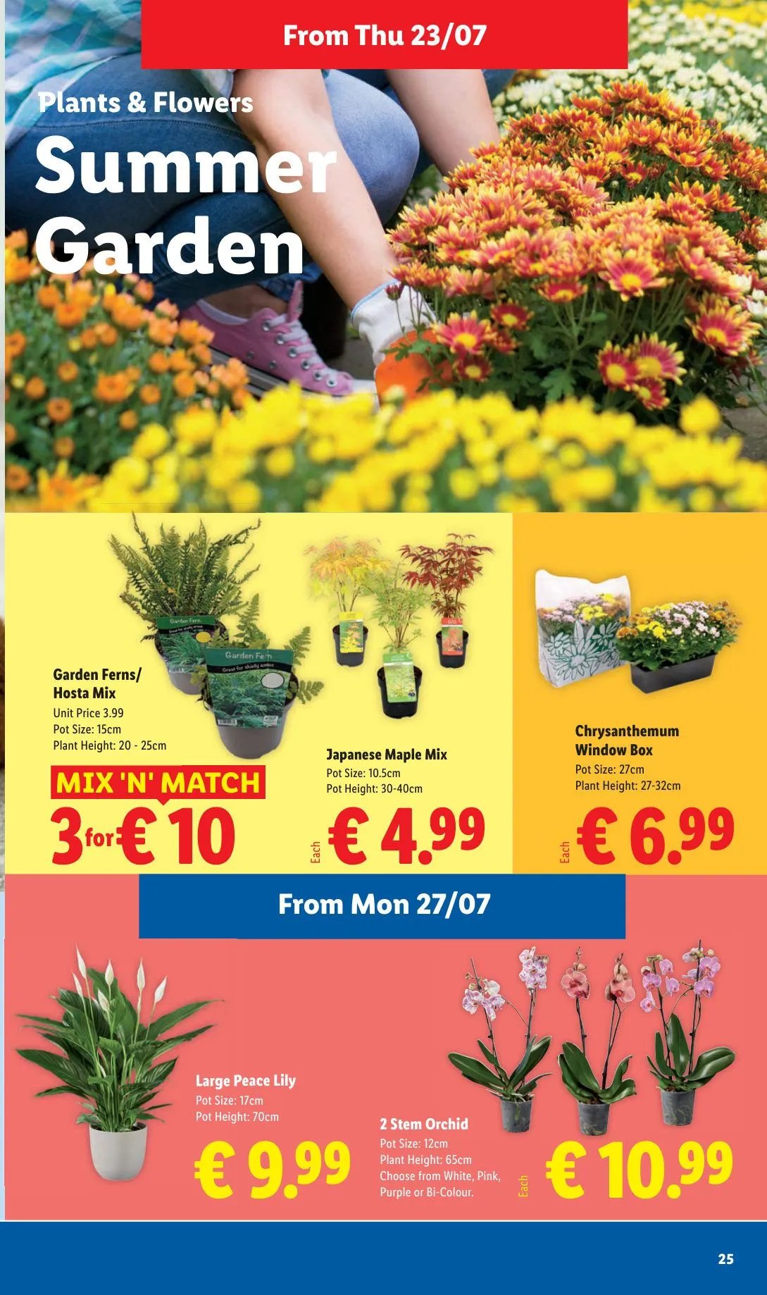 Lidl — 2026-07-21 - 23 July 29 July 2026 - Page 25