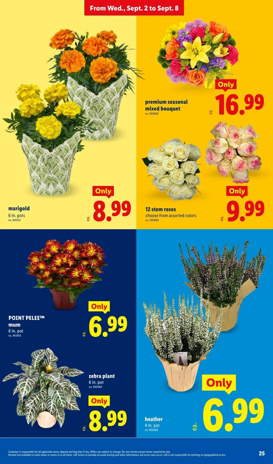 Weekly ad Lidl — 2026-09-02 from September 2 to September 8 2026 - Page 25