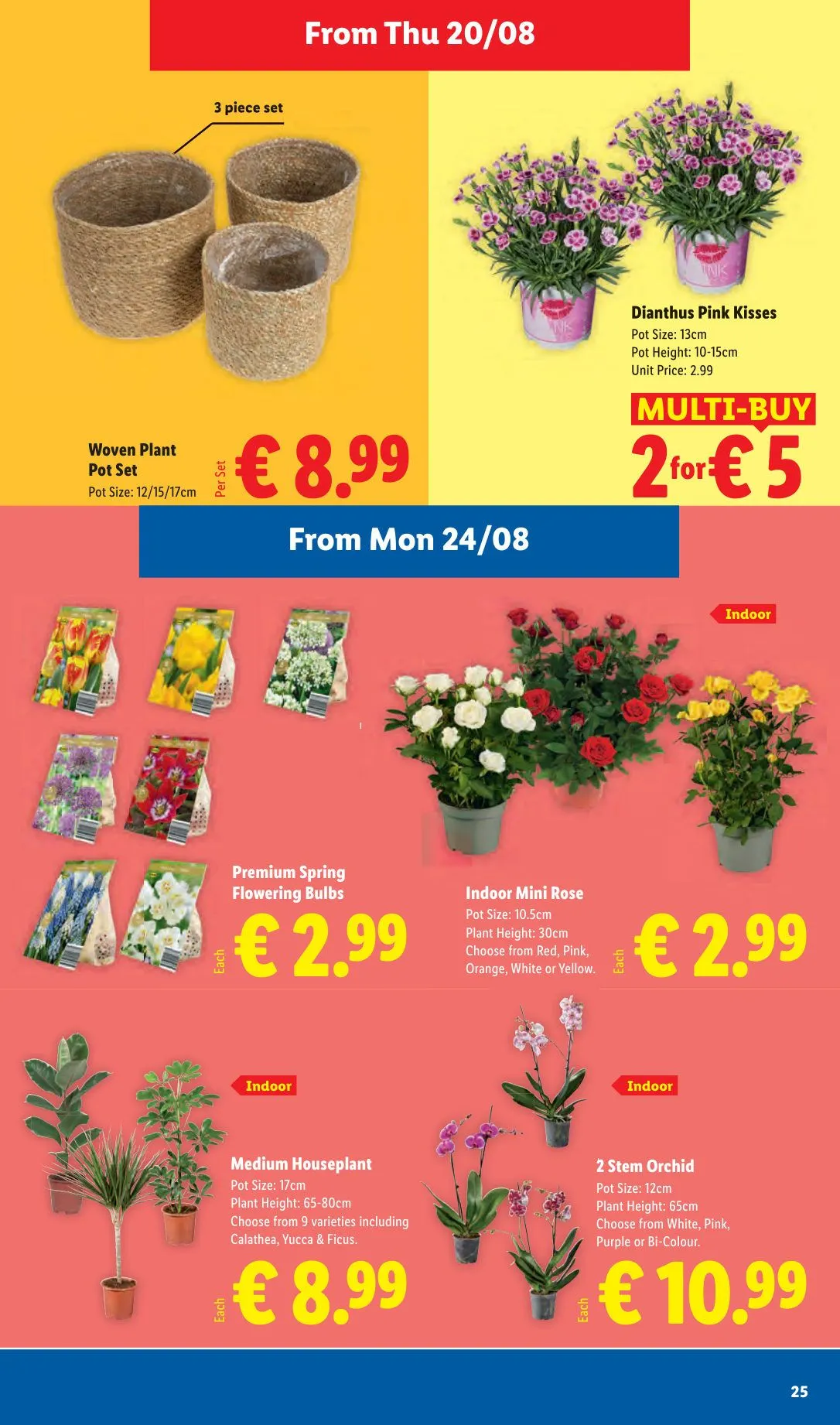 Lidl — 2026-08-14 - 20 August 26 August 2026 - Page 25