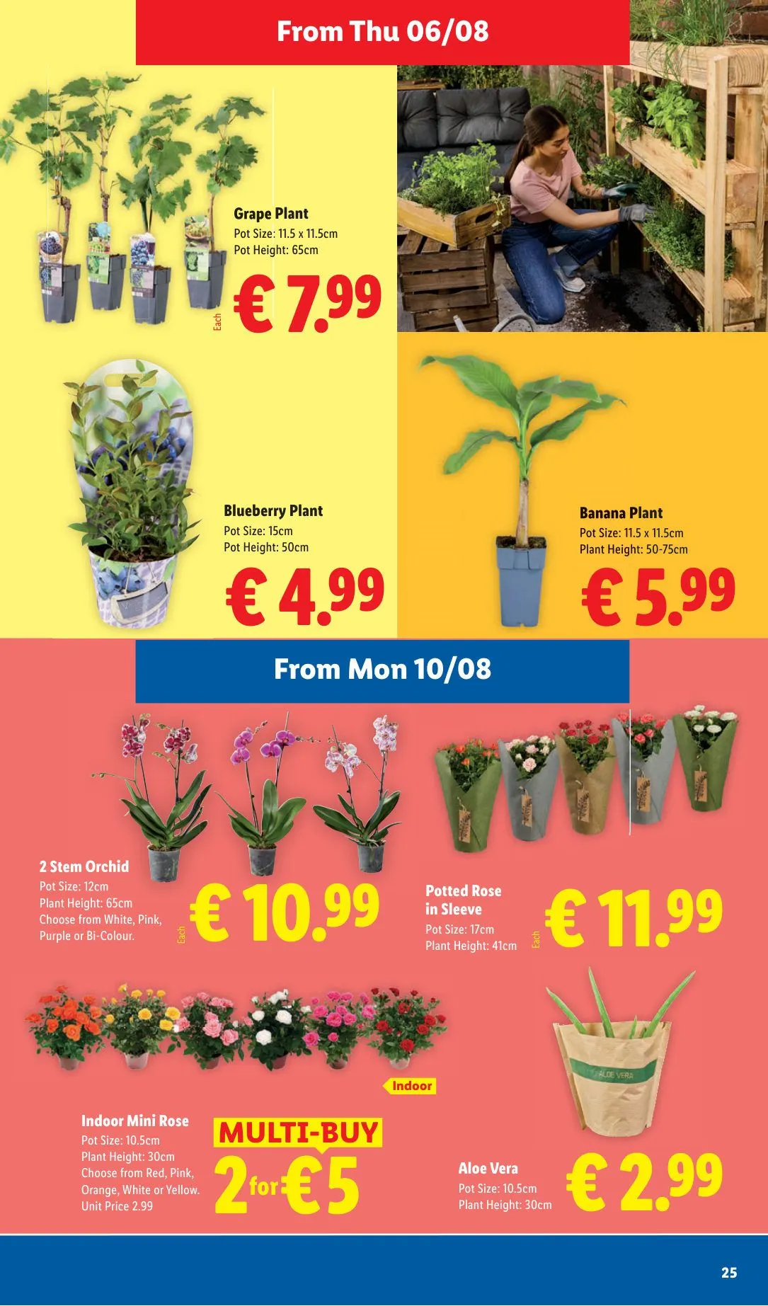 Lidl — 2026-07-31 - 6 August 12 August 2026 - Page 25