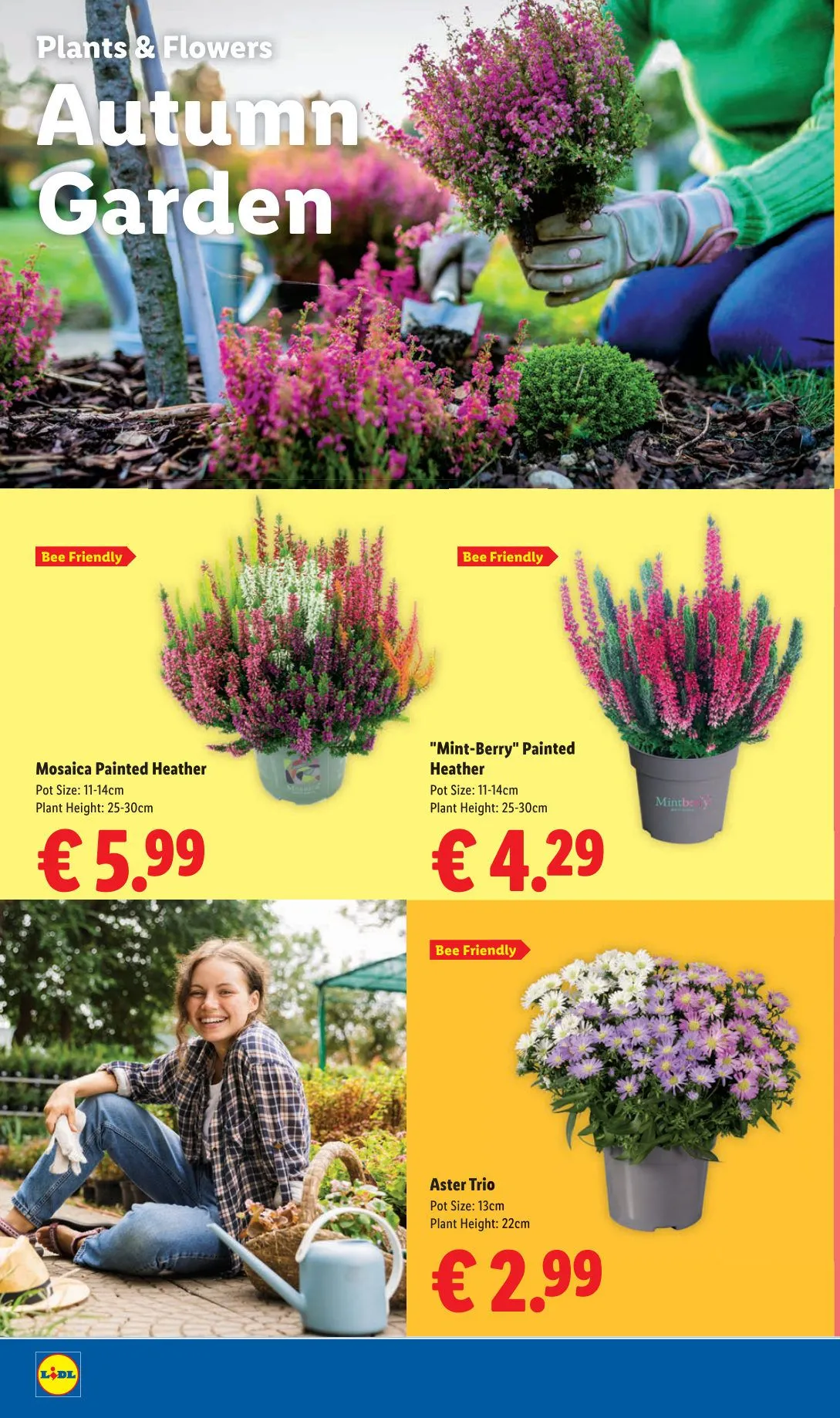 Lidl — 2026-08-27 - 3 September 9 September 2026 - Page 26