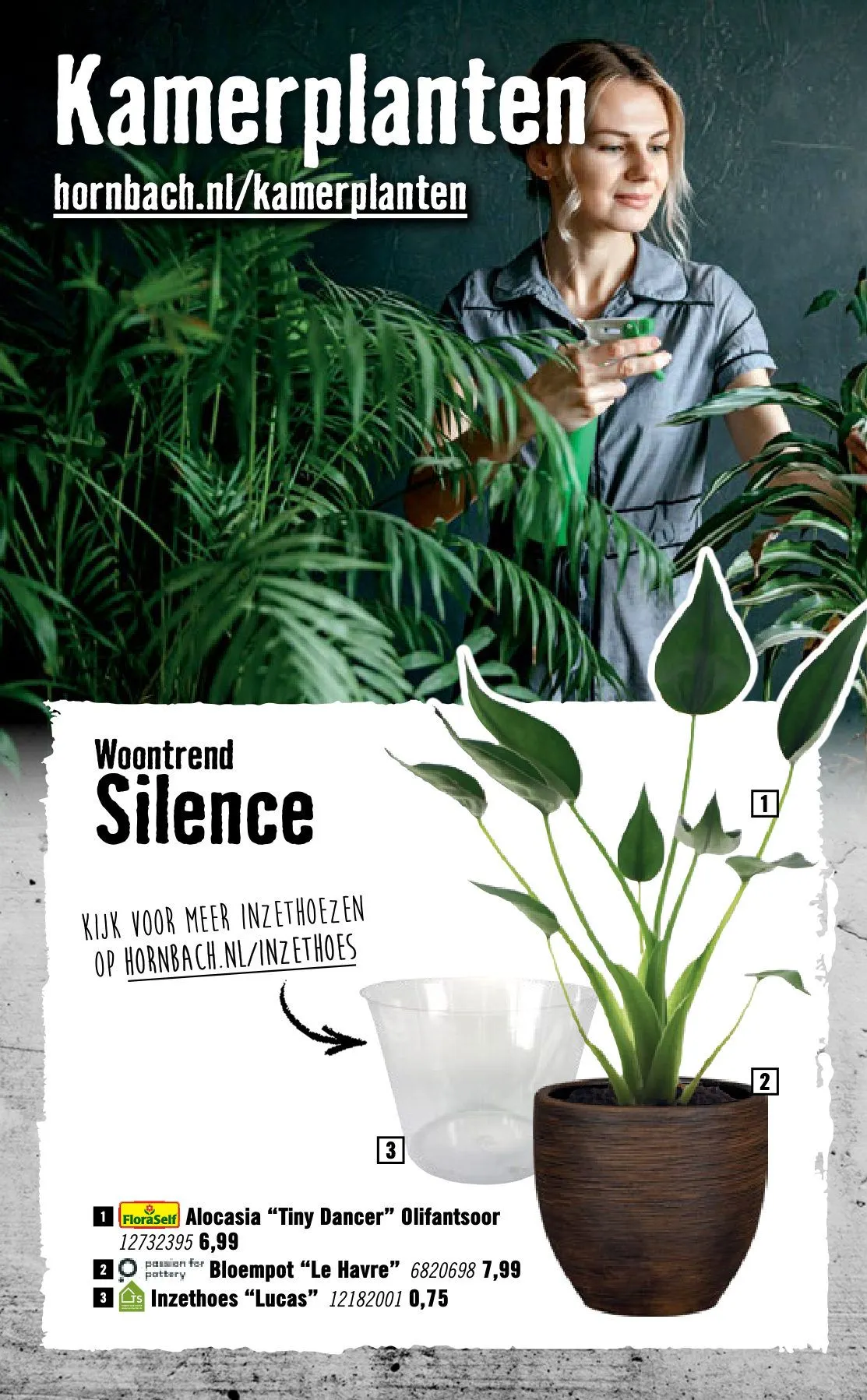 Hornbach — 2026-10-23 van 23 oktober tot 1 november 2026 - Folder pagina 61