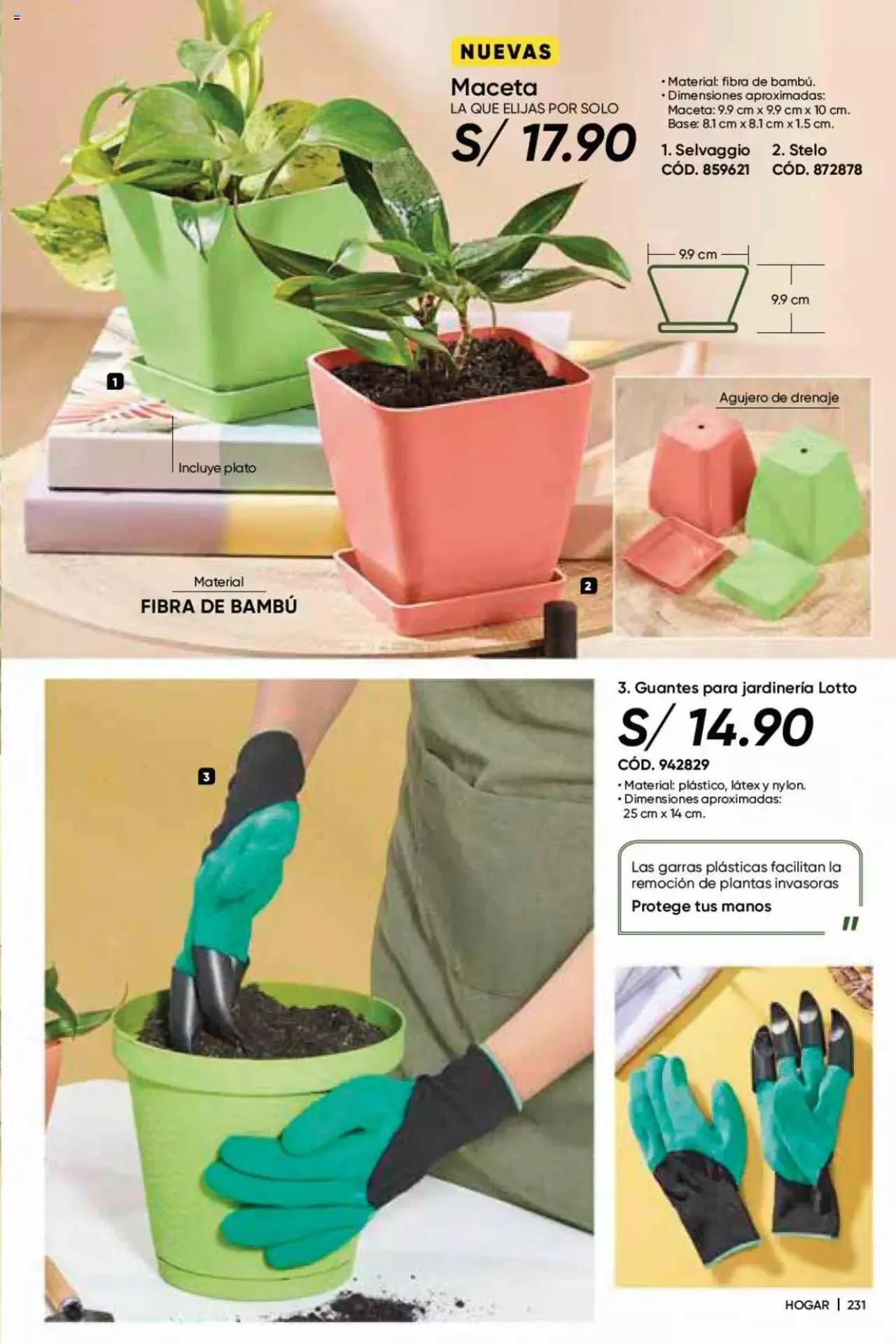 Catalogo de Azzorti - Campaña 05 16 de febrero al 31 de diciembre 2023 - Pag 241