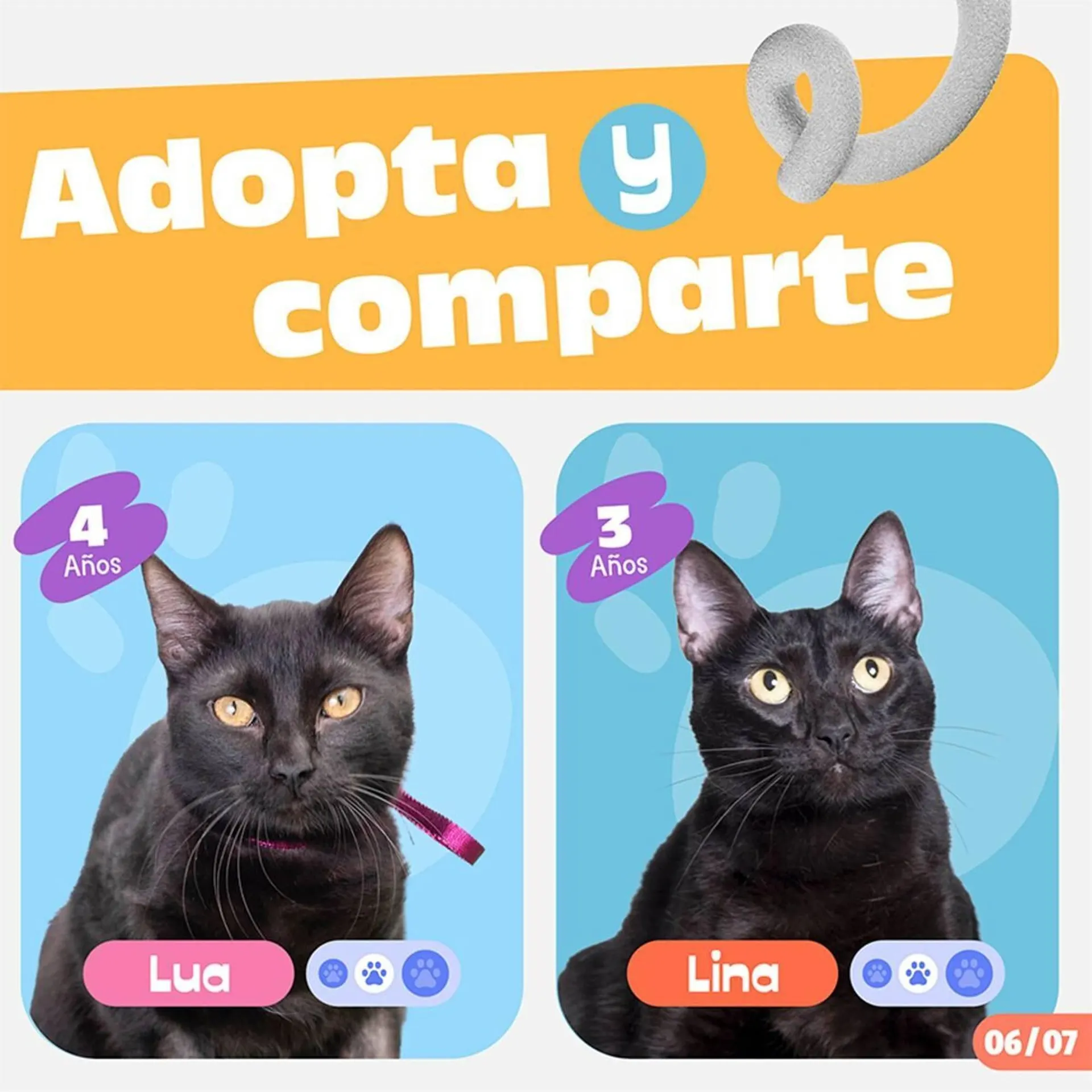 Catalogo de Catálogo Plaza Vea 11 de mayo al 31 de mayo 2026 - Pag 7