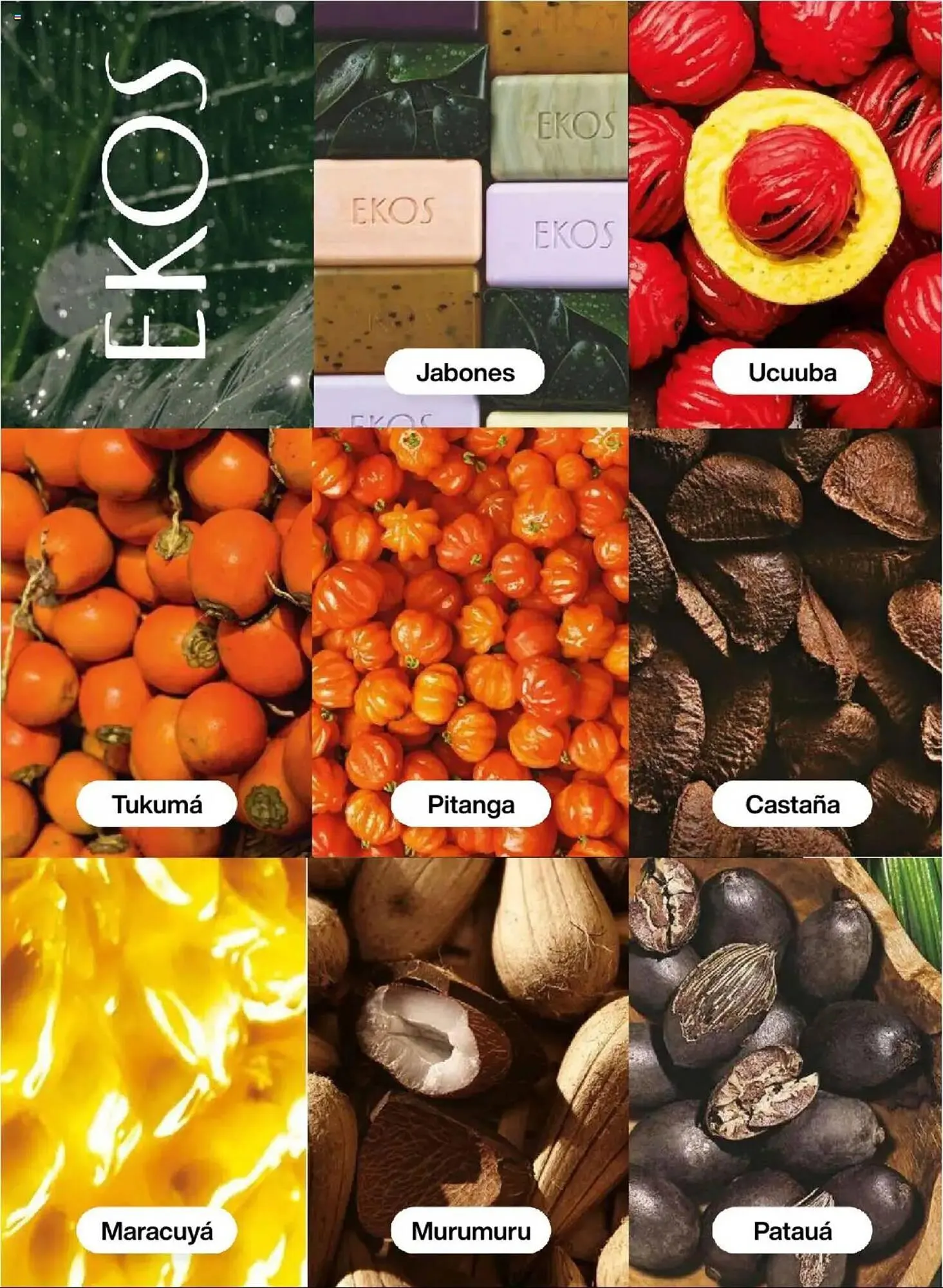 Catalogo de Catálogo Natura 3 de febrero al 4 de marzo 2025 - Pag 448