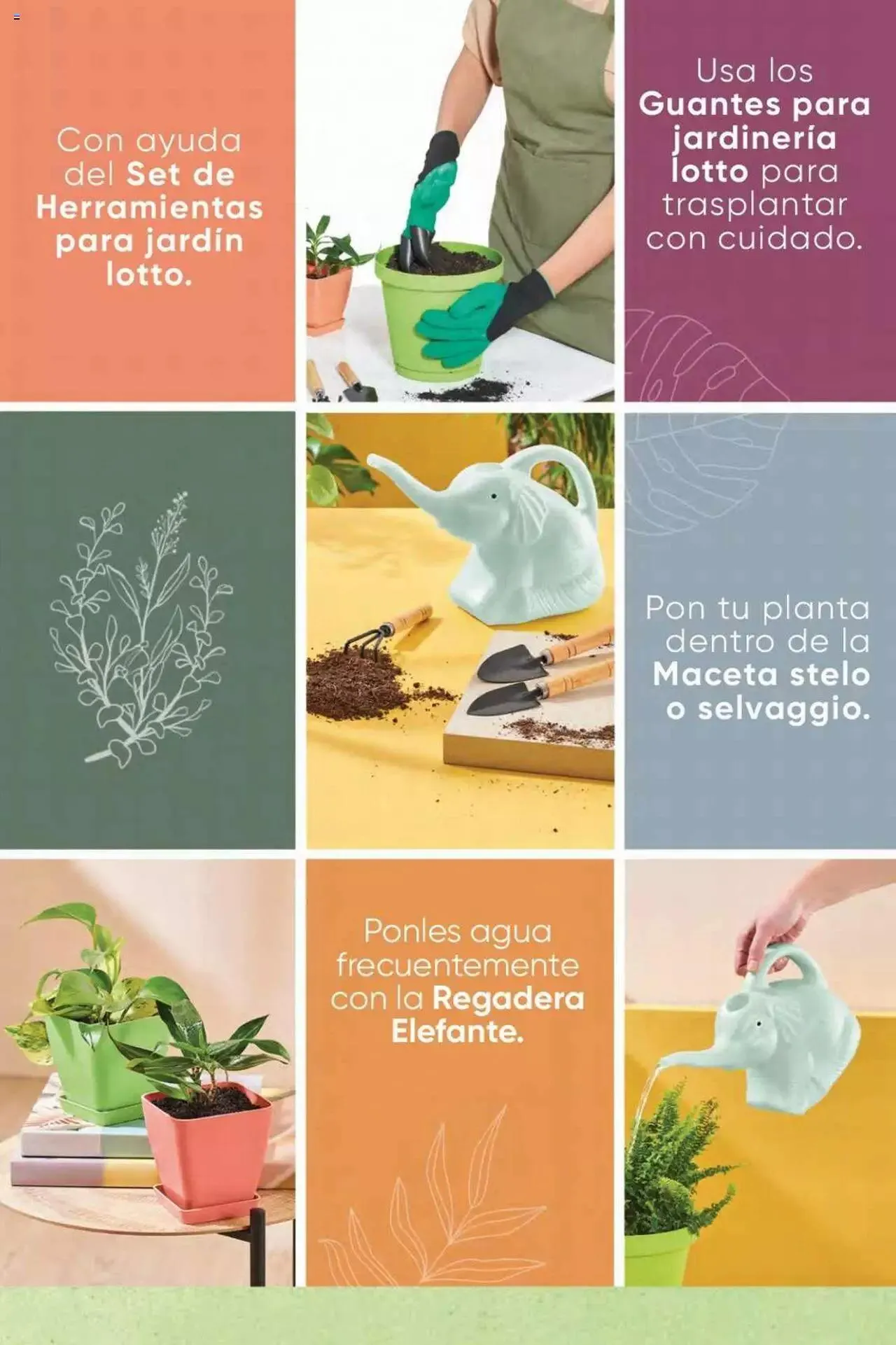 Catalogo de Azzorti - Campaña C5 / 2023 23 de febrero al 31 de diciembre 2023 - Pag 243