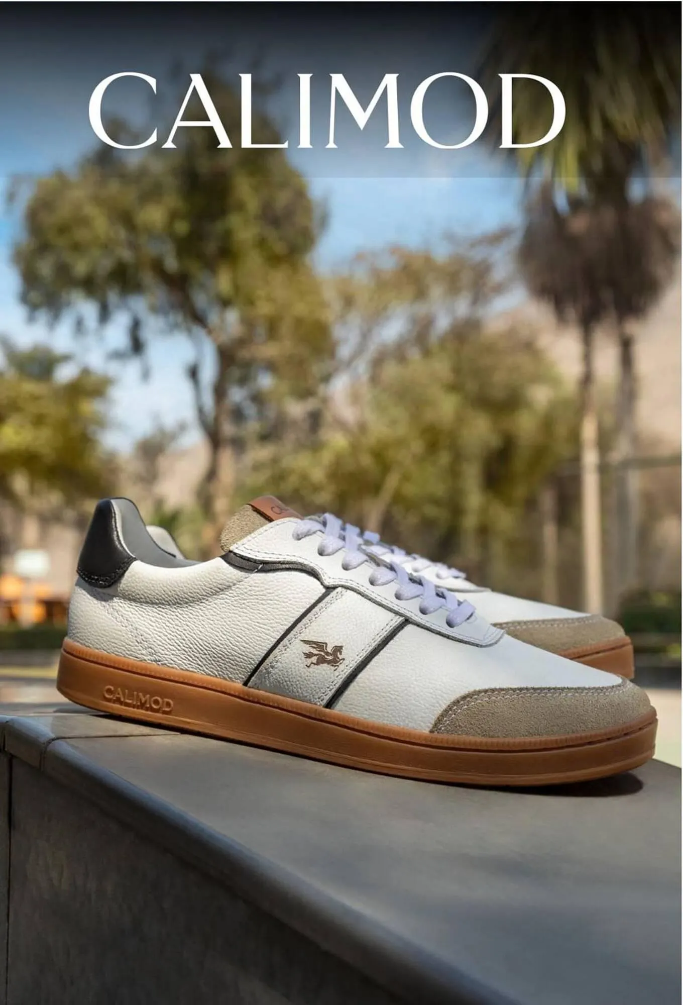 Catalogo de Catálogo Sokso 16 de febrero al 5 de abril 2026 - Pag 61